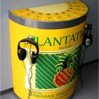 Hörbox Ananasdose