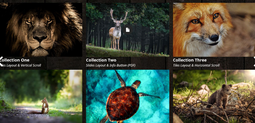 Lightbox Creation-Suite