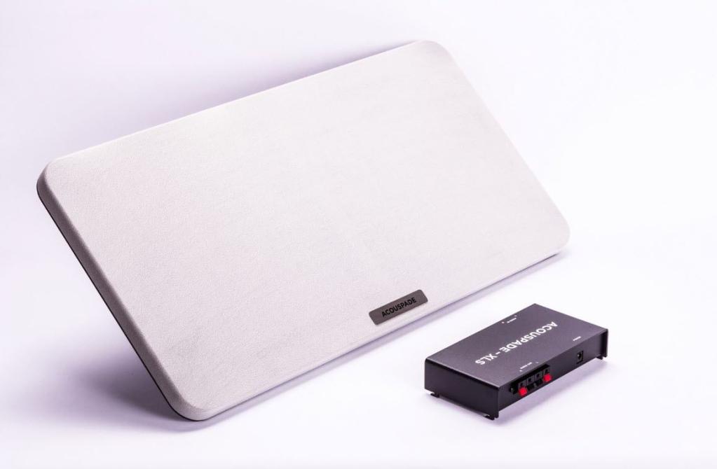 Directional Speaker